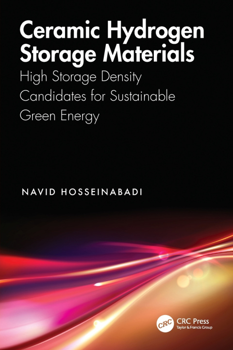 Kniha Ceramic Hydrogen Storage Materials Navid Hosseinabadi
