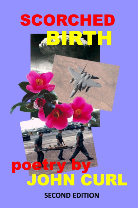 Kniha Scorched Birth John Curl