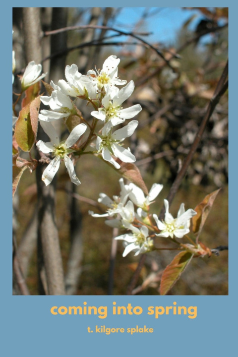 Book coming into spring t. kilgore splake