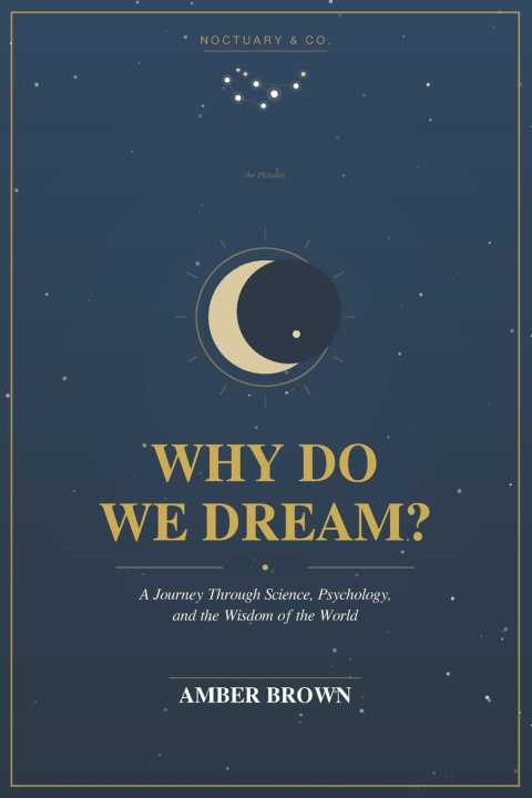 Kniha Why do we dream? Amber Brown