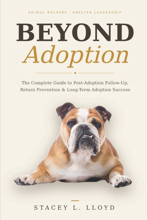 Boek Beyond Adoption Stacey L. Lloyd