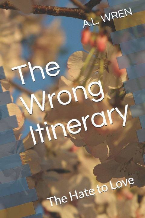 Buch The Wrong Itinerary A.L. WREN
