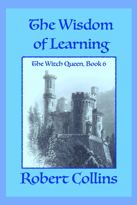Książka The Wisdom of Learning Robert L. Collins