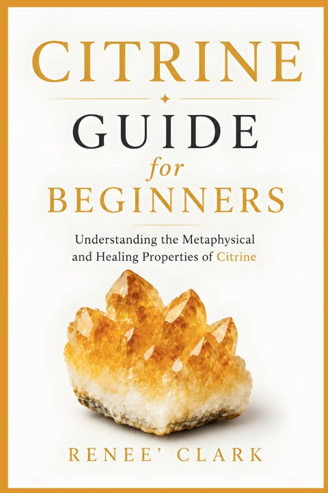 Buch Citrine Guide for Beginners Renee' Clark