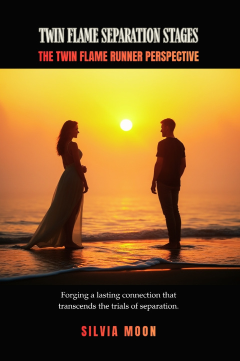 Könyv Stages of Twin Flame Separation Silvia Moon