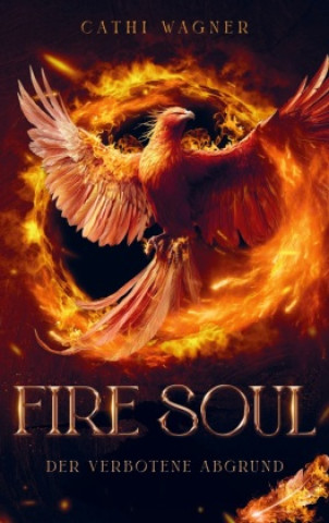 Buch Fire Soul Der verbotene Abgrund Cathi Wagner