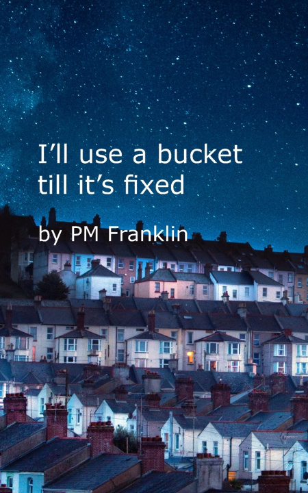 Kniha I'll use a bucket till it's fixed PM Franklin