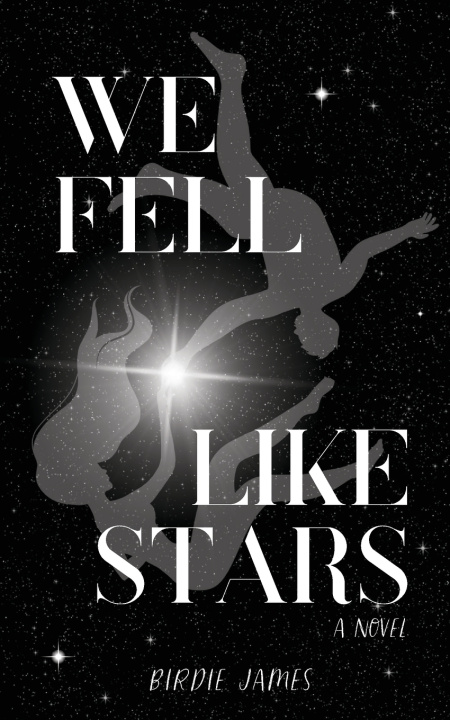 Buch We Fell Like Stars Birdie James