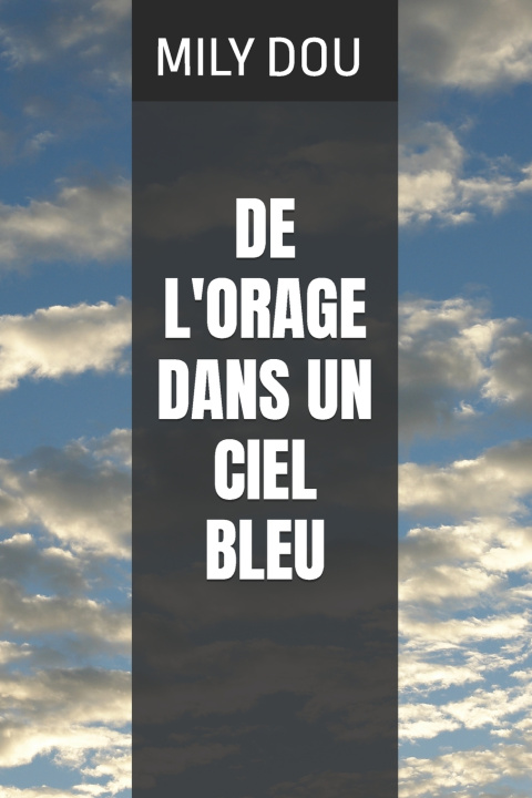 Buch DE L'ORAGE DANS UN CIEL BLEU MILY DOU