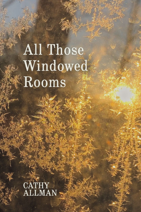 Buch All Those Windowed Rooms Cathy Allman