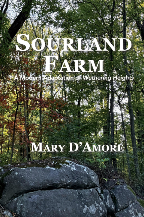 Książka SOURLAND FARM Mary D'Amore