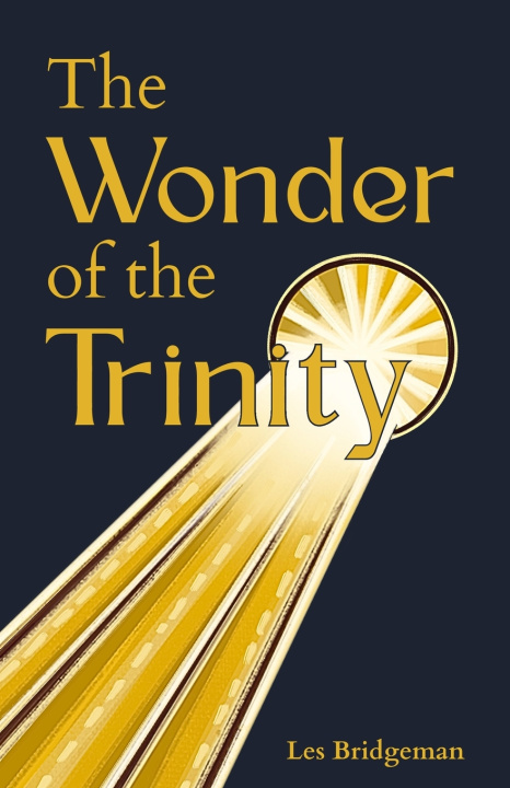 Boek The Wonder of the Trinity Les Bridgeman