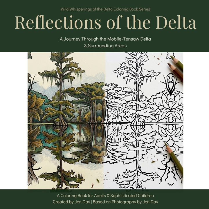 Buch Reflections of the Delta Jen Day