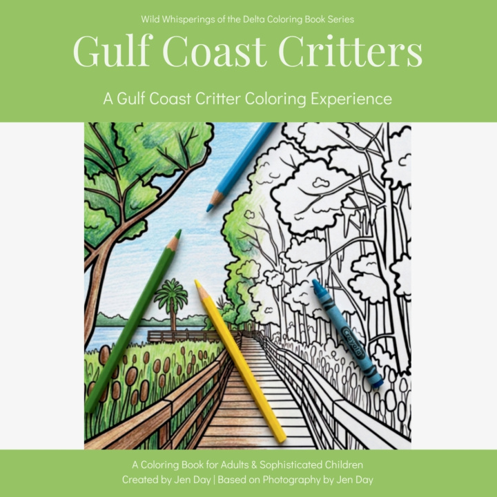 Könyv Gulf Coast Critters Jen Day