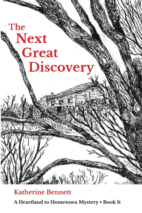 Carte The Next Great Discovery Katherine Bennett