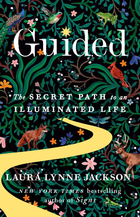 Buch GUIDED JACKSON LAURA LYNNE