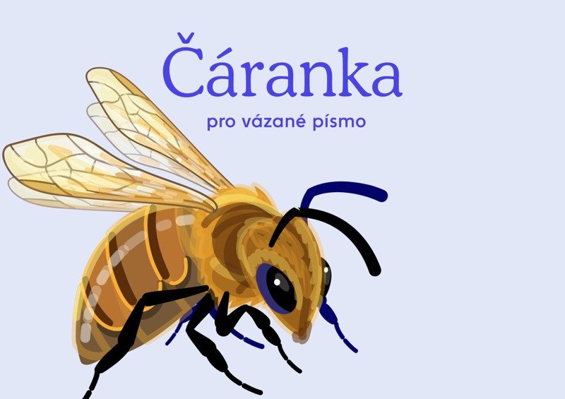 Libro Český jazyk - Čáranka pro vázané písmo 