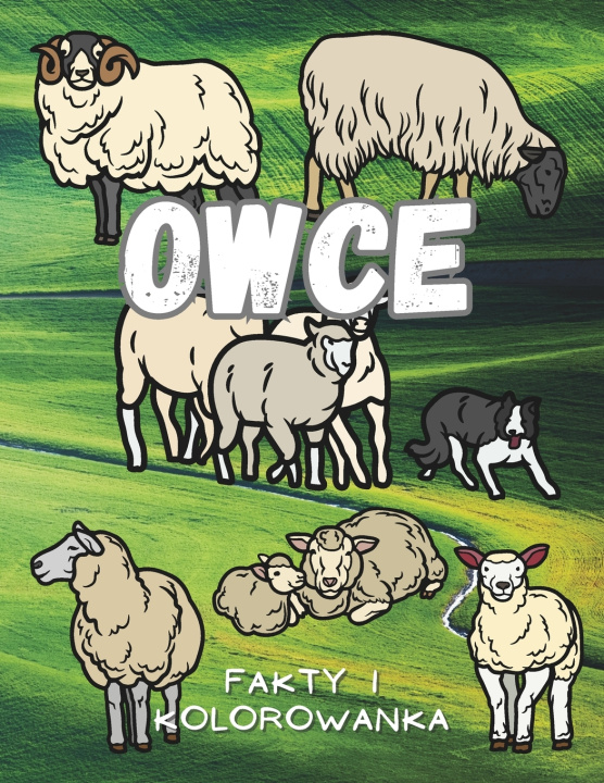 Book Owce Steven Book