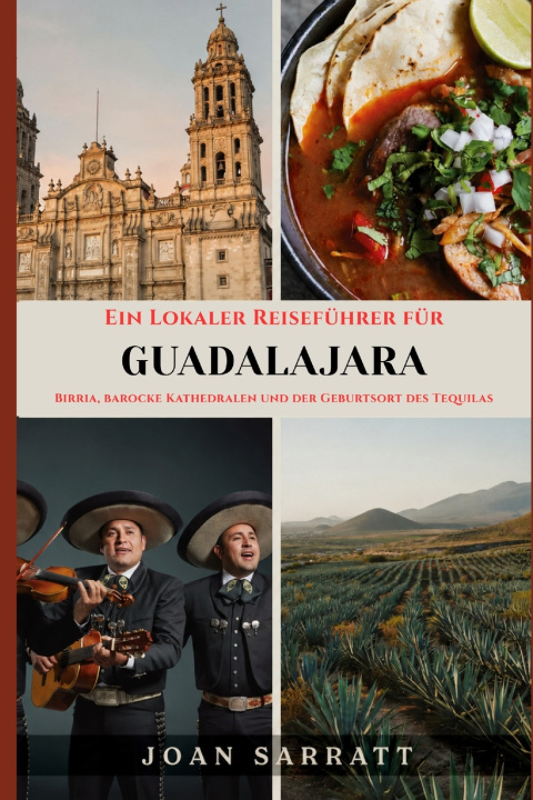 Buch Un Guide Touristique Local de Guadalajara Joan Sarratt