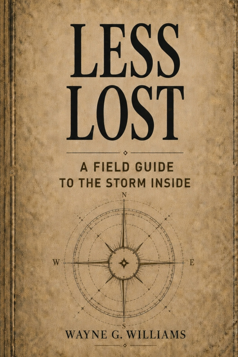 Book Less Lost Wayne G Williams