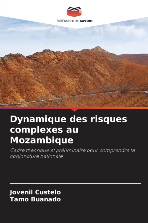 Kniha Dynamique des risques complexes au Mozambique Jovenil Custelo