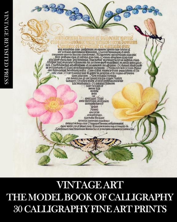 Knjiga Vintage Art Vintage Revisited Press