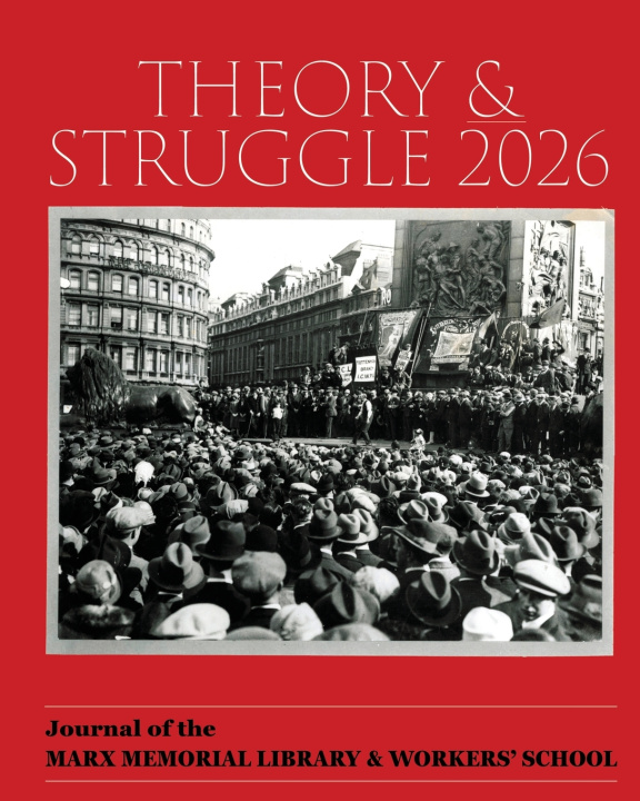 Kniha Theory & Struggle John Bellamy Foster