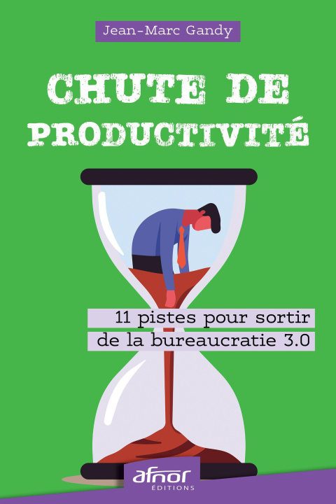 Buch Chute de productivité Gandy