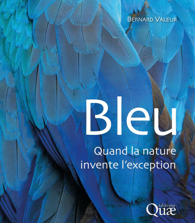 Book Bleu Valeur