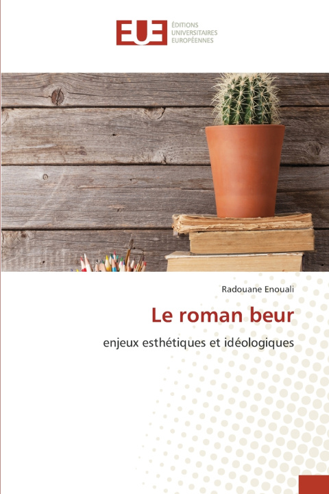 Boek Le roman beur Radouane Enouali