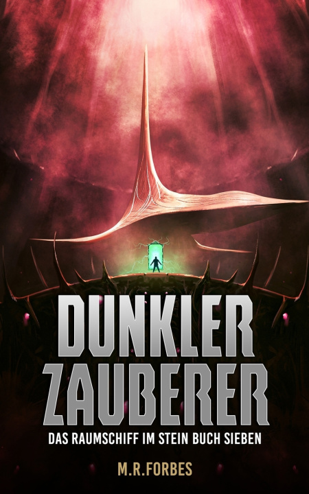 Kniha Dunkler Zauberer M.R. Forbes