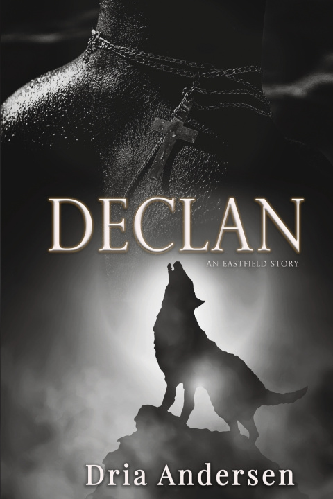 Buch Declan Dria Andersen