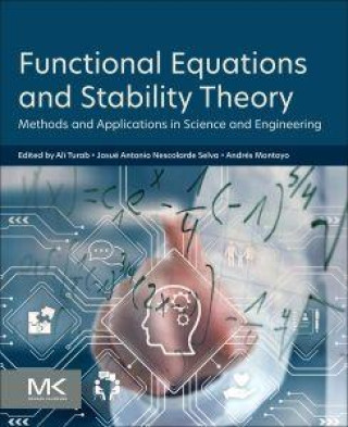 Book Functional Equations and Stability Theory Ali Turab