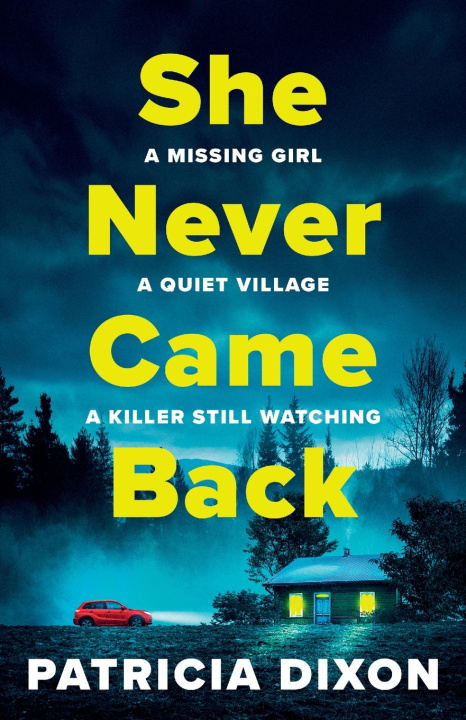 Buch She Never Came Back Patricia Dixon