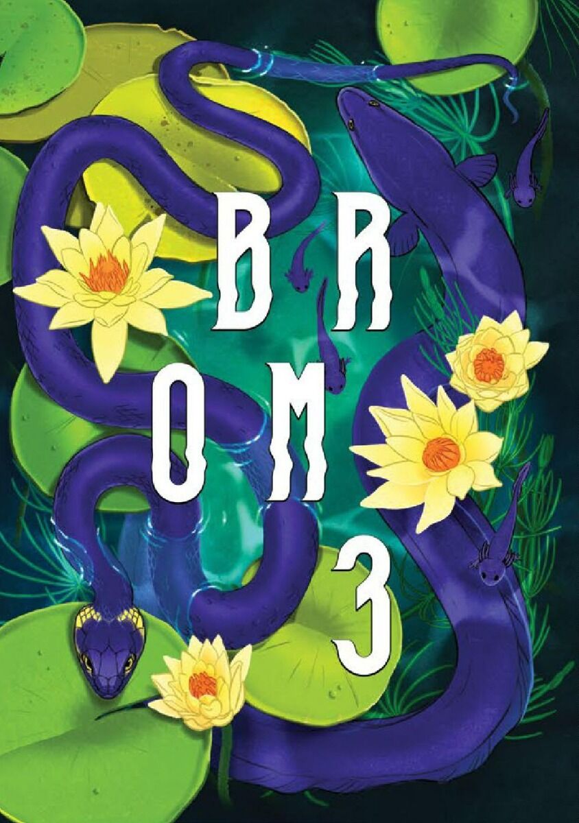 Buch Brom. Tom 03 Unka Odya