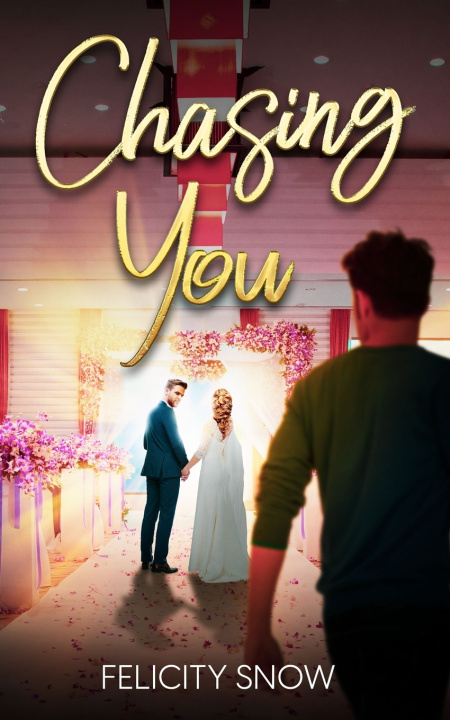 Book Chasing You Felicity Snow