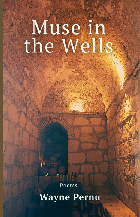 Boek Muse in the Wells Wayne Pernu