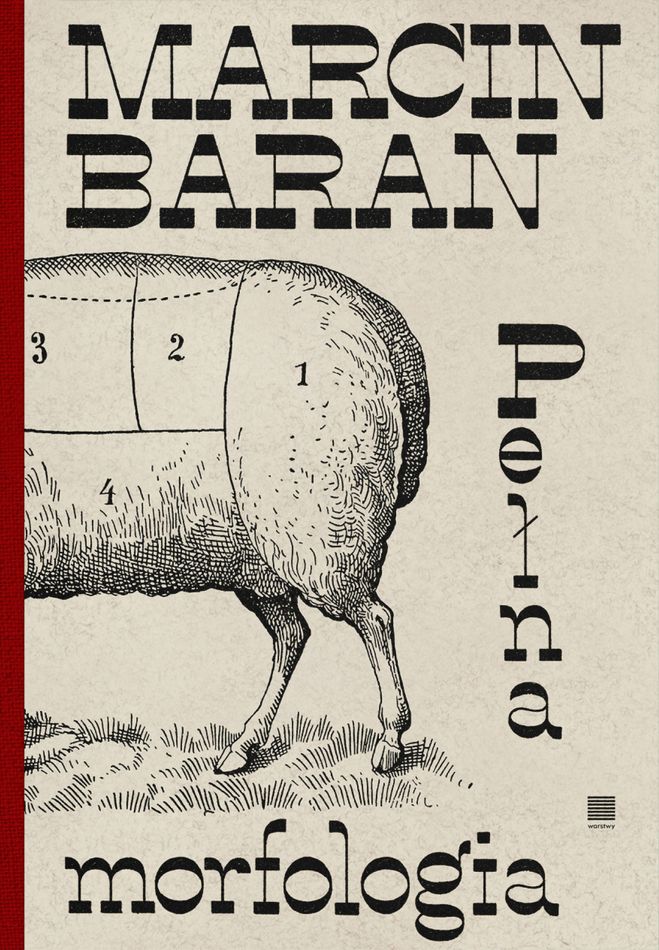 Boek Pełna morfologia Marcin Baran