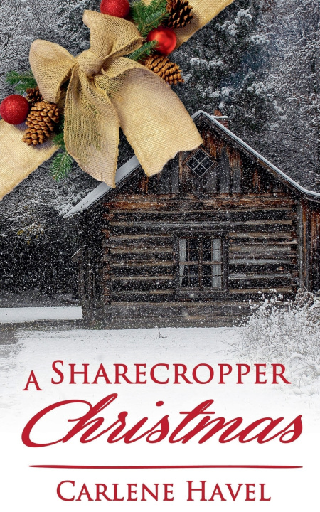 Kniha A Sharecropper Christmas Carlene Havel