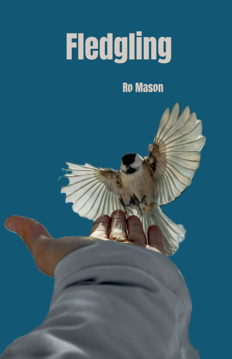 Könyv Fledgling Ro Mason