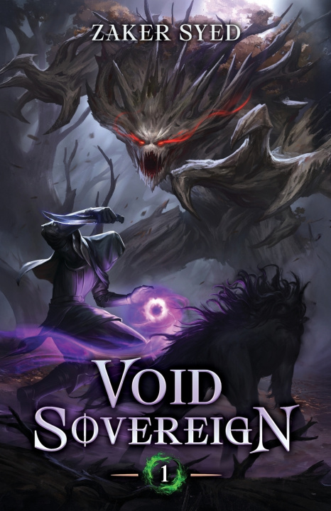 Boek Void Sovereign Zaker Syed