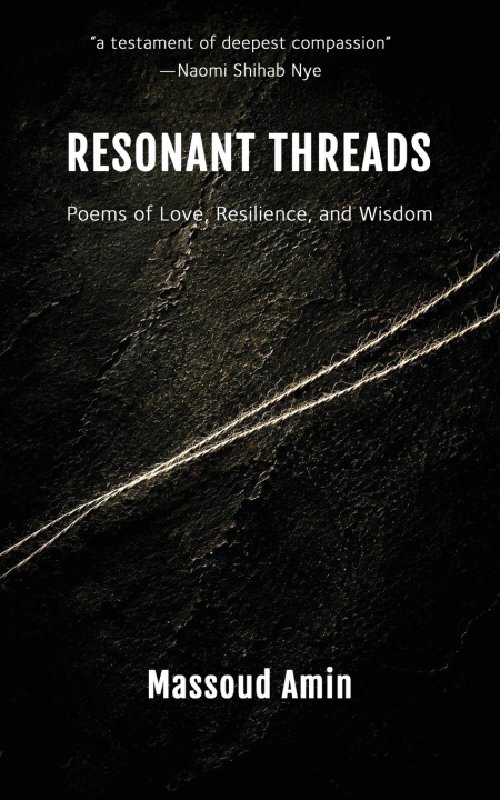 Kniha Resonant Threads Massoud Amin