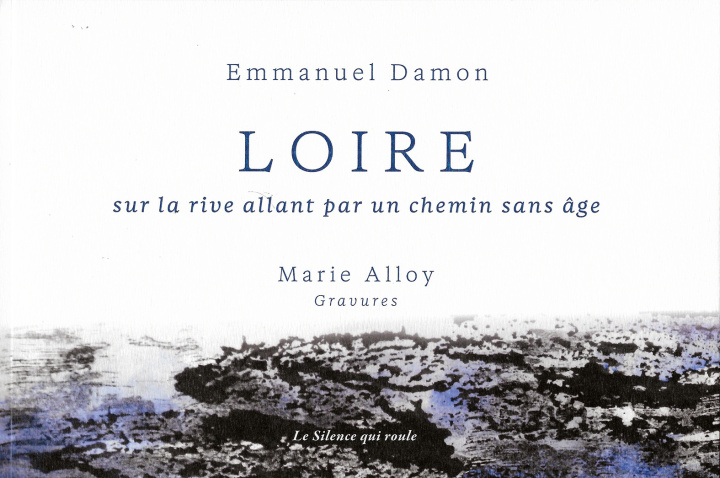 Kniha LOIRE Damon