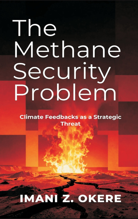 Książka The Methane Security Problem Imani Z. Okere