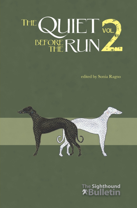 Книга The Quiet Before the Run vol. 2 Sonia Ragno