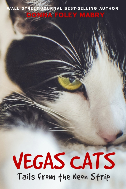 Carte VEGAS CATS Donna Foley Mabry