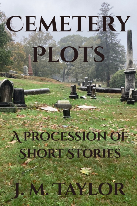 Книга Cemetery Plots J. M. Taylor