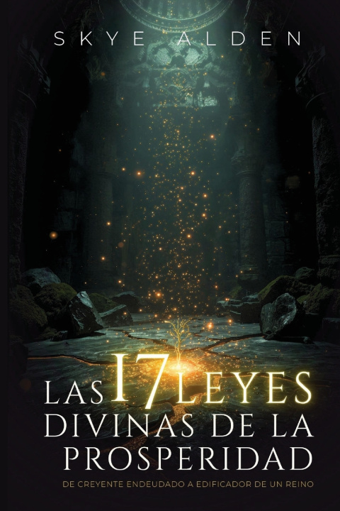 Buch Las 17 Leyes Divinas de la Prosperidad Skye Alden