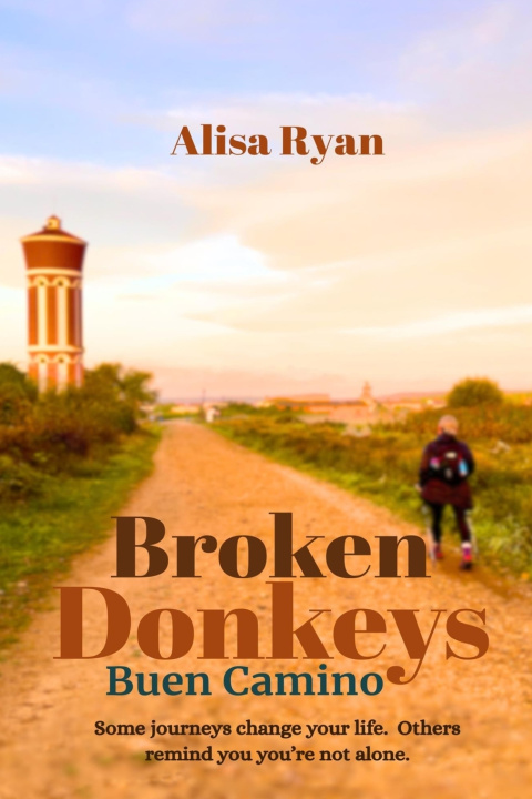 Carte Broken Donkeys Alisa Ryan