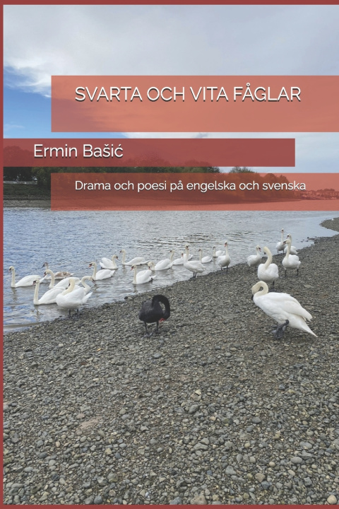 Buch SVARTA OCH VITA FÅGLAR Ermin Bašić